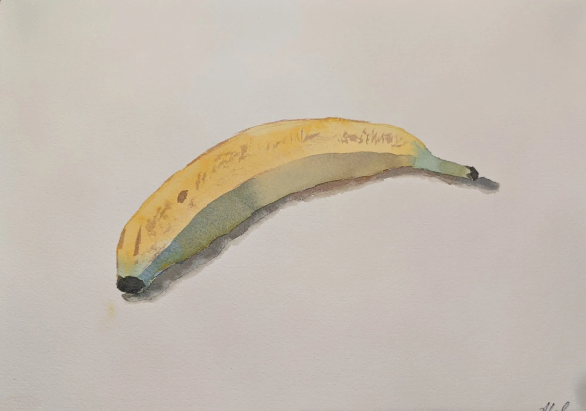 A slightly bruised banana in watercolor